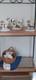 3 Piece Pittsburgh Steelers Precious Moment Collectible Figurines