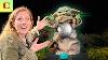 I Met Ultimate Grogu How Hasbro S 599 Baby Yoda Star Wars Animatronic Works