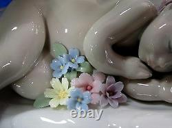 Lladro Drifting Through Dreamland #6758 Brand Nib Newborn Flowers Swan Save$ F/s