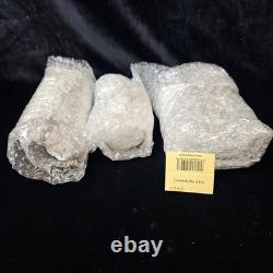 Precious Moments EVERYBODY HAS A PART 731625 Ltd Ed JAPANESE and CCR EXCLUSIVE