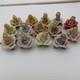 Precious Moments Expressive Blossoms Lot Of 14 Pieces