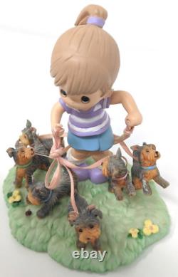 Precious Moments Yorkie Best Friends Take The Lead Furry Best Friends Numbered