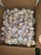Precious Moments Figurines Lot